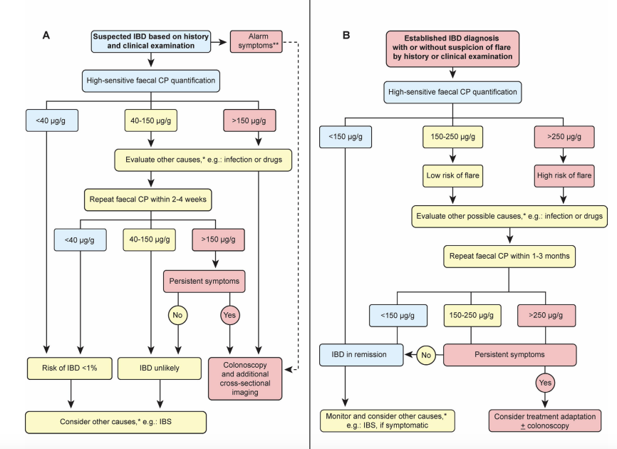 Decoding High Calprotectin Levels Causes, Implications, and Effective Treatment Strategies